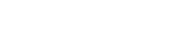 Movimento Raeliano Italiano